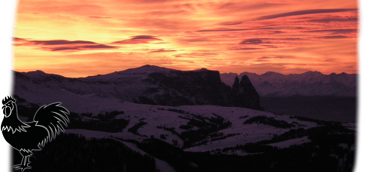 Polzhof | Gallery - Evening atmosphere