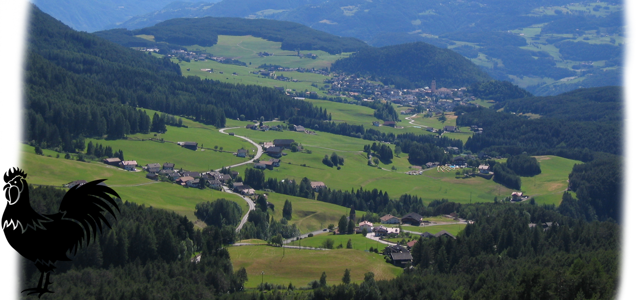 Polzhof - Wiev 