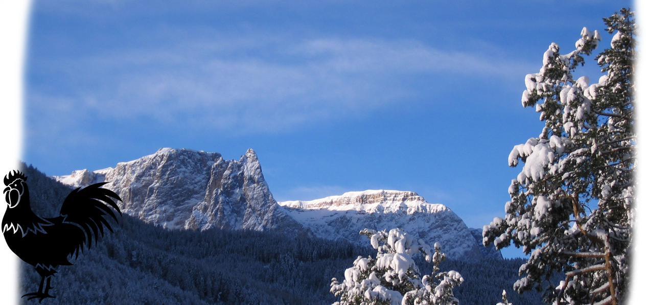 Polzhof - Winter 