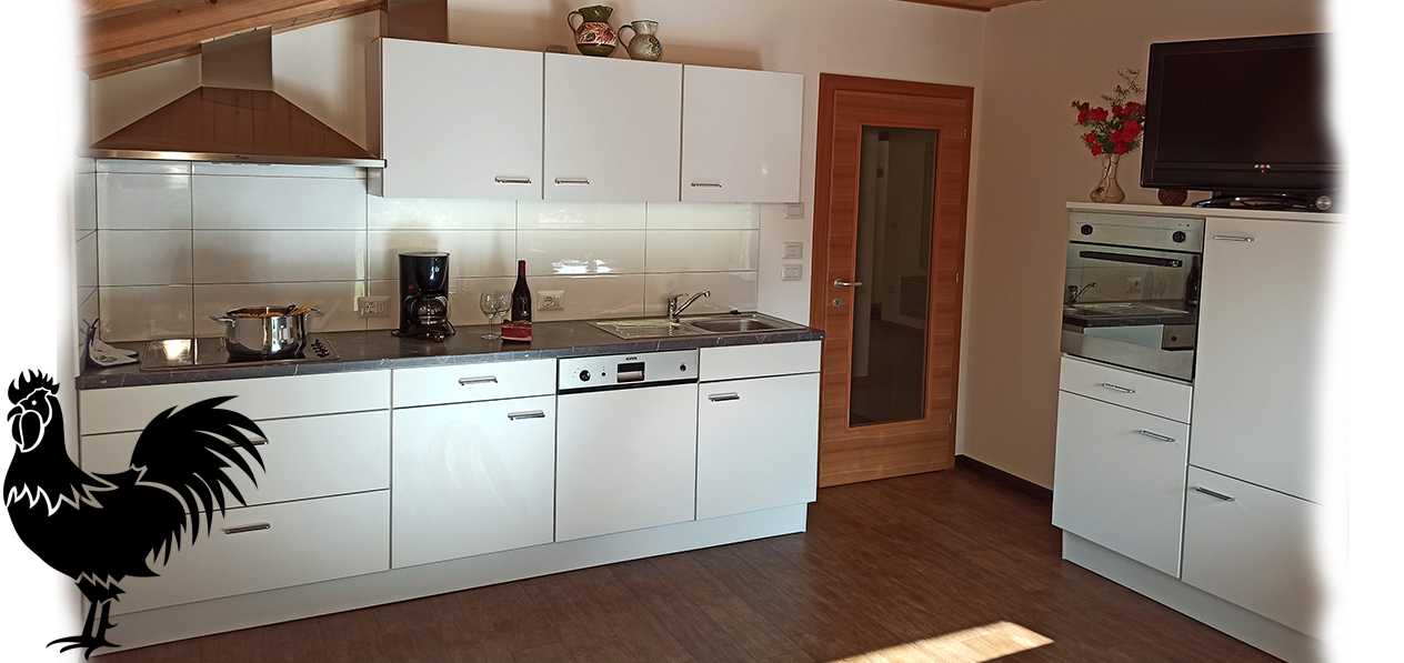 Polzhof | Appartment Schlern - kitchen