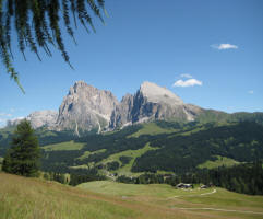 Polzhof - summer 