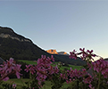  Polzhof - Evening atmosphere 