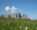 Polzhof - Mountain pasture with Sciliar